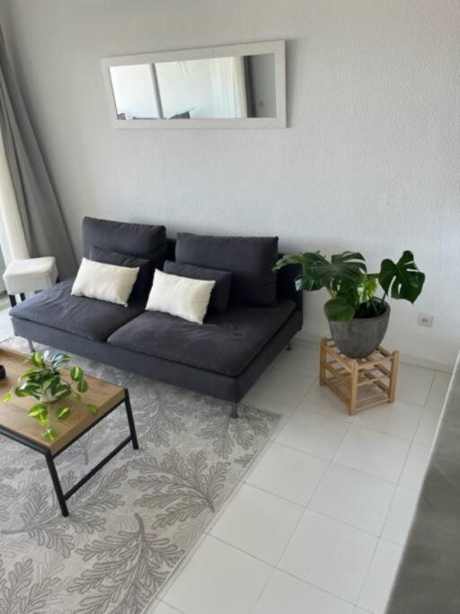 Rancho Miraflores Seaview Studio 卡拉德米哈斯 外观 照片